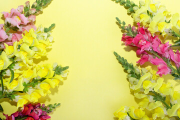 Beautiful flowers. A bouquet of bright flowers on a yellow background. Copy space