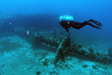 Diving at the Royal Mail Steamer Rhone sank 1867, Island Salt, British Virgin Island, Caribbean wreck dive, Fun diving with beautiful fishes