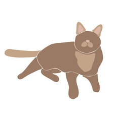 Abstract cat vector, boho cute animal isolated, adorable cat for print, minimalist  graphic elements