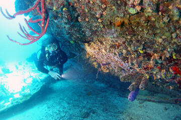 Diving at the Royal Mail Steamer Rhone sank 1867, Island Salt, British Virgin Island, Caribbean wreck dive, Fun diving with beautiful fishes