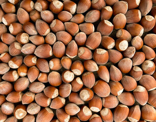 A pile of hazelnuts. Natural background