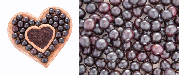 Acai Amazon berry - Euterpe oleracea. Text space