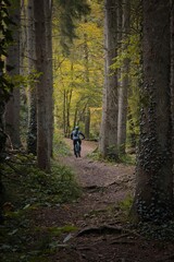 Obraz premium Mountainbike in Wald