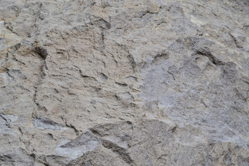 グレーの流紋岩テキスチャー、背景