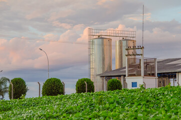 Milk receiving tanks