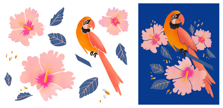 Parrot composition hibiscus flower. Modern poster