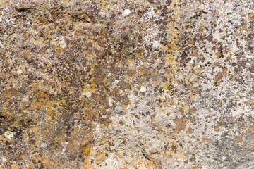 texture of stone