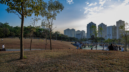 Obraz premium Overlooking the center of Shenzhen