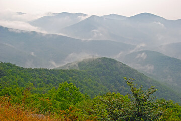 Fototapeta na wymiar Fog and Mist in the Mountains