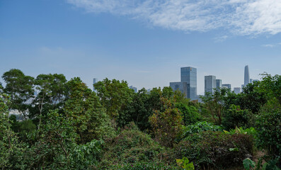 Obraz premium Overlooking the center of Shenzhen