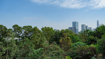 Overlooking the center of Shenzhen