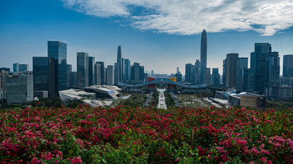 Overlooking the center of Shenzhen