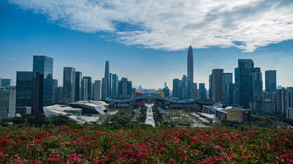 Naklejka premium Overlooking the center of Shenzhen