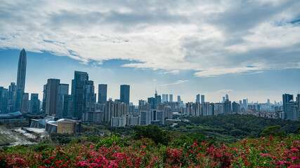 Overlooking the center of Shenzhen