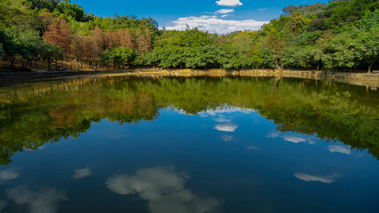 Obraz na płótnie Canvas The peaceful lake in the park