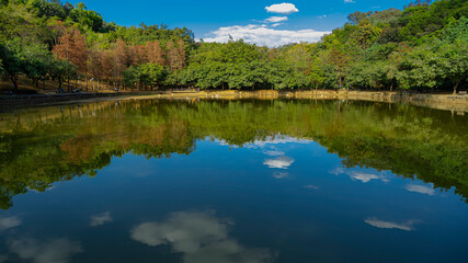 Fototapeta na wymiar The peaceful lake in the park