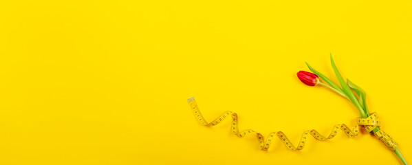 One red tulip and centimeter tape on a yellow background with copy space text place. Fitness...