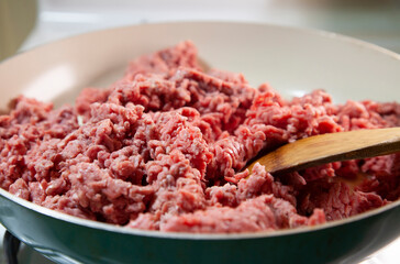 Raw Ground Beef