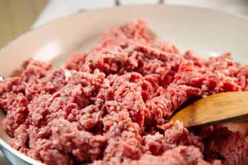 Raw Ground Beef
