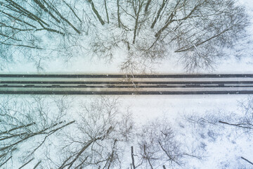 Road through winter forest