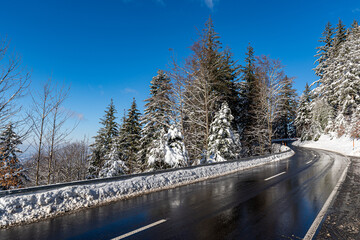 Beatuiful shot of a road th snowy trees in the Black Forest mountains of Germany