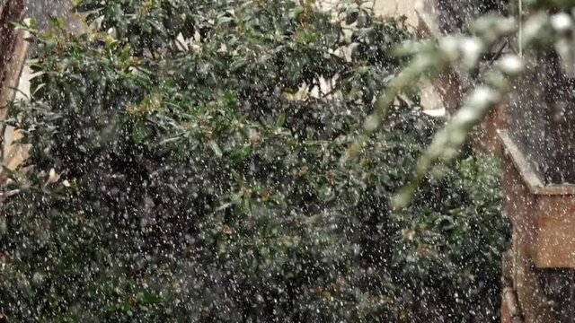 Flaky snow is falling. 
Street view under snowfall