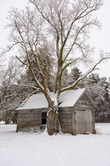 Old barn in the snow.