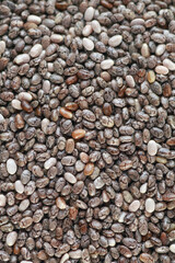 Macro photo of Chia Seed 