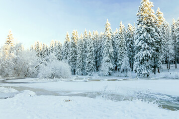 Landscape of a frosty winter snowy coniferous forest with a frozen river.