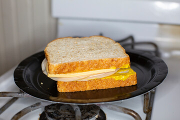 Chicken and Cheese Sandwich