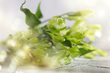 Obraz na płótnie Canvas Fresh green flowers, wedding, and holiday arrangements. Valentine`s Day and holiday background.