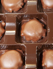 Caramel and Pecan Chocolates