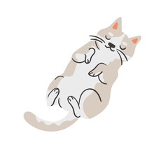 Sleeping cat, white background, vector illustration