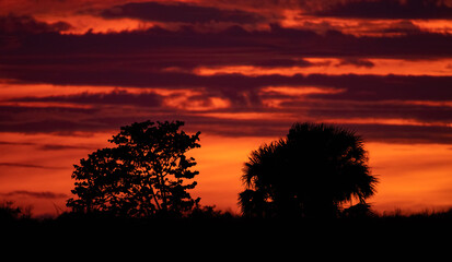 Fototapeta na wymiar Sunset in Florida 