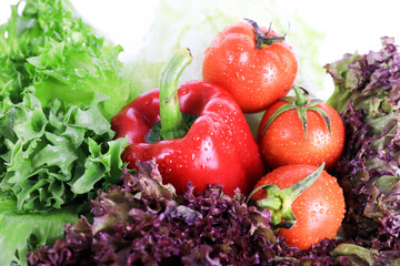 Fresh organic vegetable for Cooking Salad
