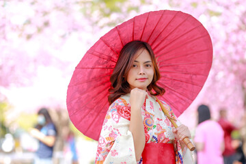 Portrait of a traveler young asian woman wear a dress yukata and walking on tree path in japan cherry blossoming sakura park at sunlight afternoon.
