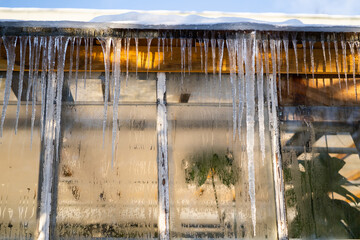 Greenhouse of botanical garden during a early spring time, icicles hanging on a roof at sunny day....