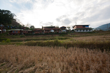 Fototapeta na wymiar Landscape of Mae Klang Luang urban village with rice field in Winter season, Chiang Mai, Northern Thailand