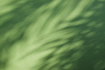 Tropical leaves natural shadow overlay on green texture background