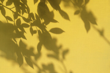 Tropical leaves natural shadow overlay on yellow texture background