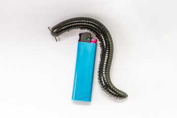 Giant black millipede on white background size vs lighter