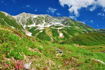 Fototapeta premium 夏景色 立山アルパイン