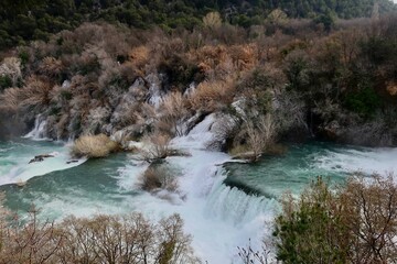 Obraz premium waterfall in the forest
