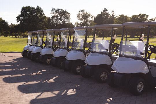 A row of golf buggies parked neatly at the edge of a golf course