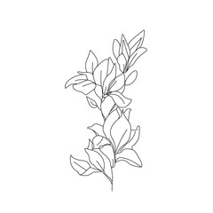 Magnolia Flowers Line Art Drawing. Continuous Line Drawing of Flowers Minimalist Style. Floral Contemporary Design with Magnolia for Covers, t-Shirt Print, Postcard, Banner etc. Vector EPS 10.