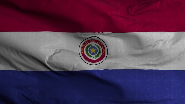 Paraguay Flag Textured Waving Background 4K
