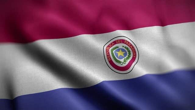 Paraguay Flag Textured Waving Close Up Background HD