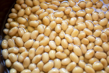 大豆の水煮
