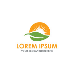 leaf and sun logo vector image