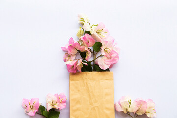 bougainvillea flora local flowers of asia arrangement in brown bag arrangement flat lay style on background white